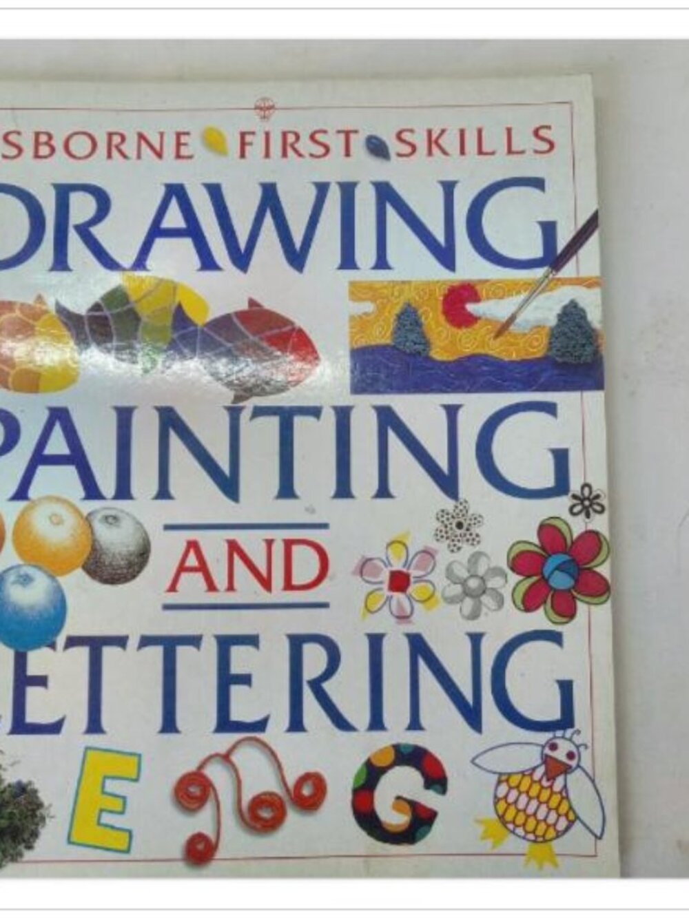 Usborne First Skills Drawing Painting and Lettering Barron's 1996 PB